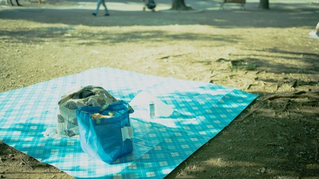 Eine blau-weiße Picknickdecke liegt am Boden eines Parks. Auf der Decke stehen zwei große, befüllte Sackerl. Im Hintergrund gehen Personen