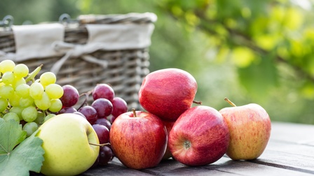 Rote und grüne Äpfel und Weintrauben auf Holzfläche liegend, im Hintergrund verschwommen Picknickkorb und Pflanzengrün