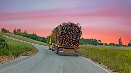LKW fährt mit Baumstämmen beladen bei Sonnenuntergang eine Landstraße entlang
