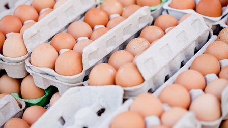 Detailansicht naturfarbener Eier in Eierkartons