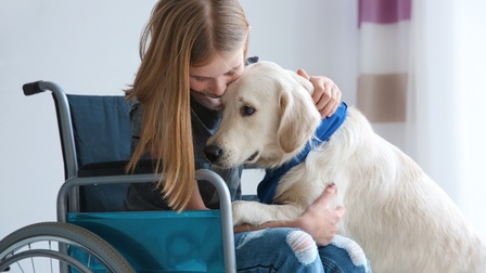 Kind mit langen hellen Haaren sitzt in einem Rollstuhl und streichelt einen Golden Retriever Hund, der sich zu ihr hinauflehnt