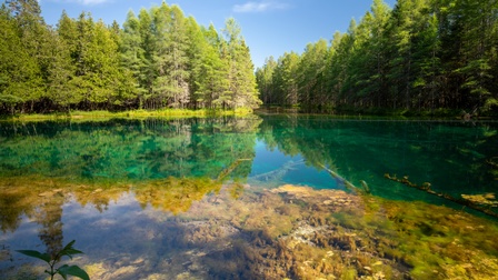 Ein transparentes Gewässer ist umrahmt von grünen Bäumen am Ufer. Im Wasser sind Steine und Äste. Der Himmel ist blau mit einzelnen Wolken.