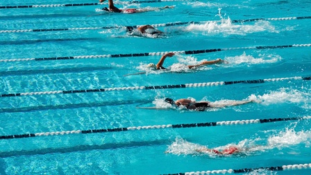 Sieben Personen schwimmen in einem Schwimmbad nebeneinander auf circa gleicher Höhe