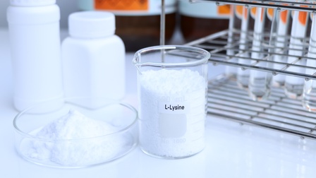 Auf einem hellen Tisch stehen nebeneinander zwei Glasgefäße. In beiden ist ein weißes Pulver drinnen. Auf dem rechten steht L-Lysine. Dahinter stehen weiße, kleine Plastikgefäße
