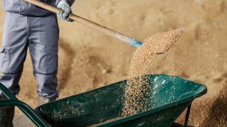 Eine Person in einem Overall, mit Gummistiefeln und Handschuhen kippt mit einer Schaufel Futtermittel in eine Scheibtruhe