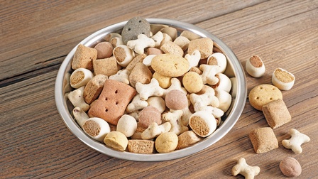Metallschüssel gefüllt mit Hundekeksen in unterschiedlichen Formen, daneben einige Keks verstreut auf Holzuntergrund