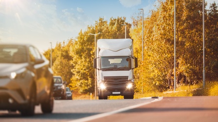 LKW fährt auf einer Straße, daneben fahren weitere Autos, am Straßenrand stehen Bäume