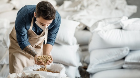 <Person mit Mund-Nasen-Schutz greift mit beiden Händen in einen Sack Gerste während im Hintergrund weitere weiße Säcke gestapelt sind