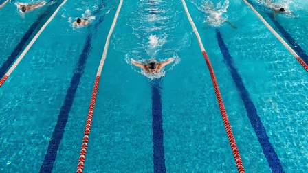 Top-Shot eines Schwimmbades. Im Becken sind mehrere rot-weiße Linien, die das Becken in mehrere Bahnen unterteilen. In jeder Bahn ist eine schwimmende Person mit Badekappe. Die Person in der Mitte ist am weitesten vorne in den Bahnen