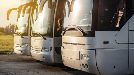 Seitliche Aufnahme dreier hellgrauer, nebeneinander parkender Autobusse. Die Busse parken auf einer asphaltierten Straße. Daneben ist eine grüne Wiese