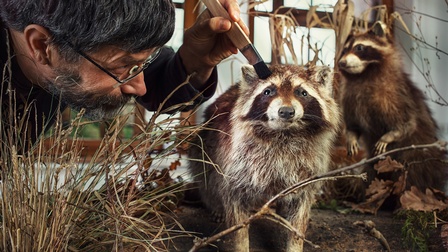 Eine Person streicht mit einem Pinsel ein ausgestopftes Tier, im Hintergrund ist ein weiteres Tier. Die Tiere stehen auf einer erdigen Oberfläche, auf der auch Gras und Moos zu sehen sind. 