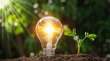 Leuchtende Glühbirne neben keimender kleiner Pflanze auf Erde, im grünen Hintergrund verschwommen Lichtpunkte