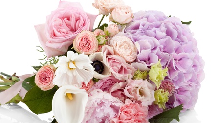 Nahaufnahme zusammengebundener, liegender Blumen mit hellen Blüten, in den Farben, weiß, rosa oder lila auf weißem Hintergrund