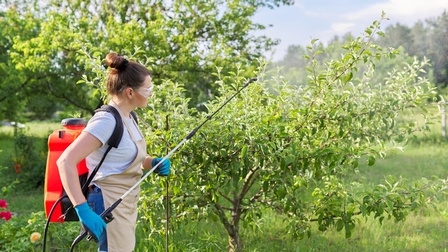 Person in Seitenansicht mit Schutzbrille, Handschuhen und Container am Rücken steht in Wiese vor Laubbaum und hält Röhre, die mit Container verbunden ist, in die Luft, im Hintergrund weitere Bäume