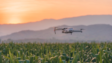 Eine Drohne fliegt über ein großes Feld mit grünen Gräsern. Im Hintergrund ist eine hügelige Landschaft