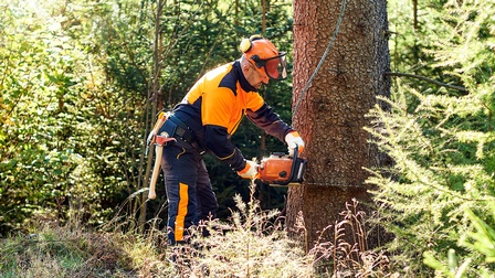 Person in orangeblauer Arbeitsschutzkleidung mit orangem Helm sägt mit Motorsäge Baum