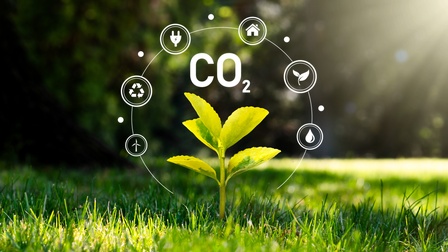 Eine Jungpflanze wächst in einer Wiese darüber zeigen sich  grafische Elemente zum Thema CO2 