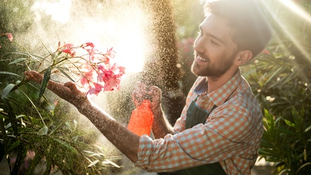 Lächelnde Person mit grüner Schürze hält in einer Hand pinke Blüte eines Oleanders und bestäubt diese mit Wasserzerstäuber mit anderer Hand 