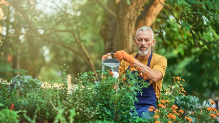 Eine Person mit grauen Haaren, Bart, blauer Schürze und Handschuhen steht an an einem Hochbeet im Freien und gießt dieses mit Wasser aus einer Gießkanne. Daneben sind weitere Hochbeete. Im Hintergrund ist ein großer, grüner Laubbaum