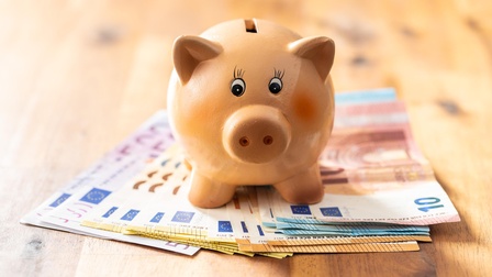 Sparschwein steht auf aufgefächerten Euro Geldscheinen auf einem Holzuntergrund