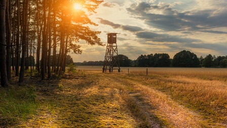Auf einer Wiese steht ein Schießstand. Links daneben sind Bäume. Rechts daneben ist ein Feld. Im Hintergrund sind grüne Bäume. Am Himmel sind Wolken