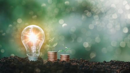 Glühbirne mit hellem Schein wächst aus dem Boden heraus sowie zwei Stapel von Münzen aus denen eine Pflanze herauswächst, im Hintergrund ein grünes Bokeh