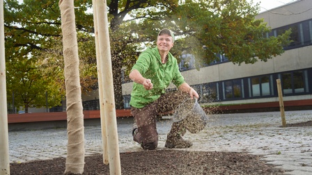 Ein Landschaftsgärtner streut Samen auf eine frisch bepflanzte Baumscheibe. Der neu gepflanzte Baum ist mit Hanf umwickelt