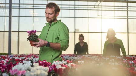 Ein Mann beschaut eine blühende Topfpflanze im Gewächshaus. Das Gewächshaus ist voller blühender Pflanzen. Im Hintergrund zwei Frauen. 