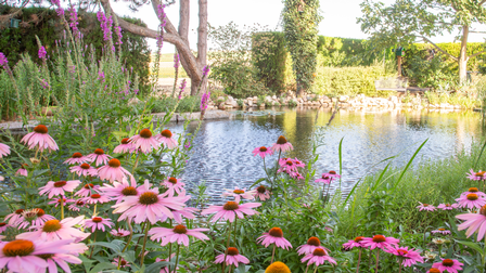 garten, blumen