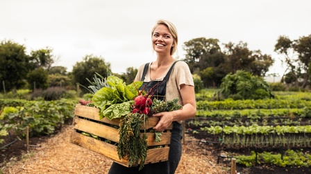 Eine Person mit blonden Haaren und in dunkler Stofflatzhose steht auf einem Feld. Sie trägt eine Holzkiste mit unterschiedlichen Gemüsesorten