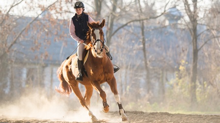 Auf galoppierendem Pferd sitzt Person mit Helm, Sand wird vom Untergrund aufgewirbelt, im Hintergrund verschwommen blattlose Bäume und Gebäude