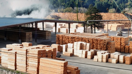 Sägewerk mit gestapelten Baumstämmen, Kanthölzern und anderen geschnittenen Holzprodukten