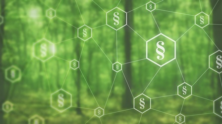 Overlay zahlreicher Paragrafensymbole mit Hexagons umrandet, die durch Linien verbunden sind, im Hintergrund grün verschwommen Wald