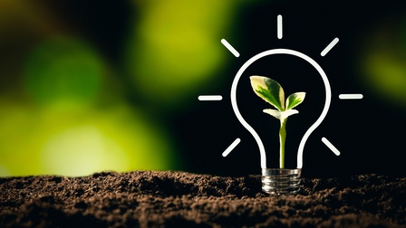 Pflänzchen in Glühbirne wächst aus Boden