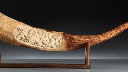 Zu sehen ist ein grau schwarzer Hintergrund und ein brauner Elfenbeinhorn.