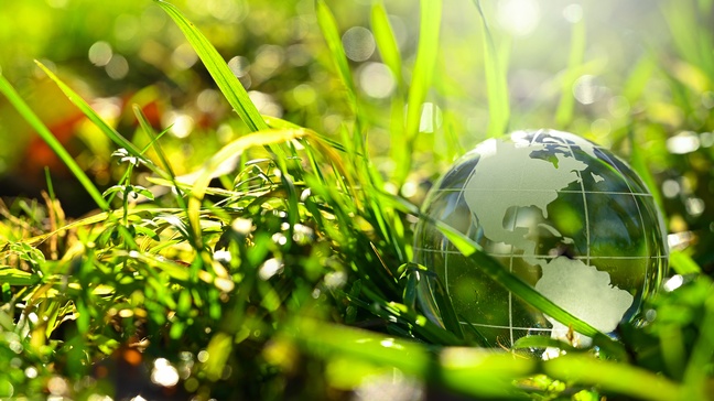 Nachhaltigkeit Graslandschaft Natur Weltkugel
