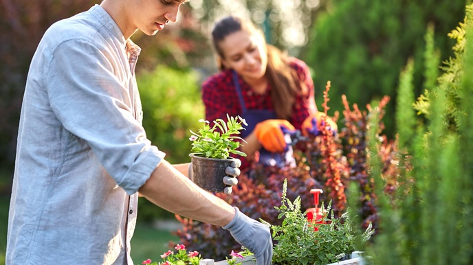 Personen sind in einem Garten und pflegen Pflanzen, Eine sortiert Zierpflanzen in einer Holzkiste, die andere schneidet ein Gebüsch. Der Hintergrund ist verschwommen, dennoch ist die Kulisse eines Gartens in Grüntönen erkennbar.