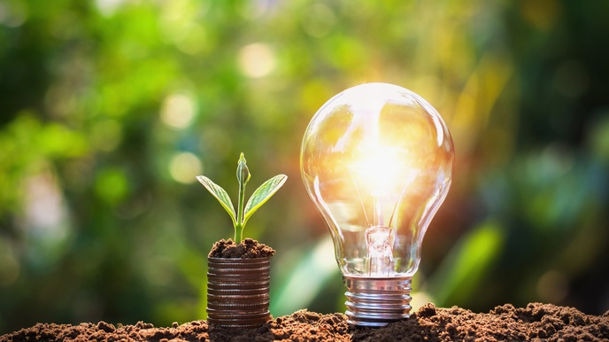 Leuchtende Glühbirne neben keimender kleiner Pflanze auf Erde, im grünen Hintergrund verschwommen Lichtpunkte