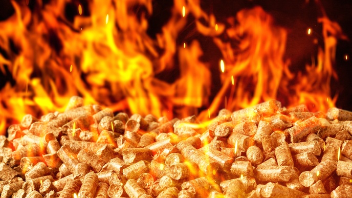 Nahaufnahme vieler, kleiner, bräunlicher, länglicher Objekte, die brennen