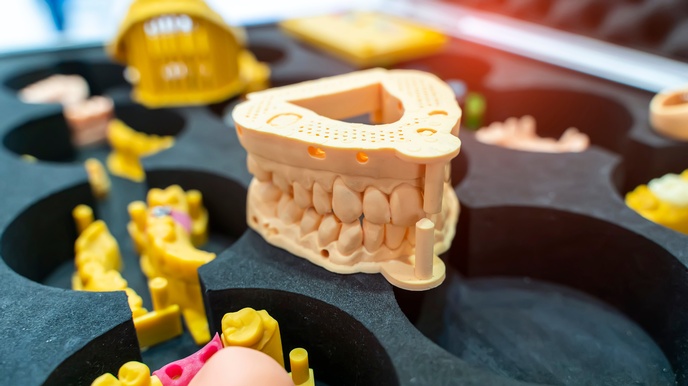 Detailansicht Modell eines Gebisses