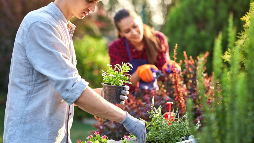 Personen sind in einem Garten und pflegen Pflanzen, Eine sortiert Zierpflanzen in einer Holzkiste, die andere schneidet ein Gebüsch. Der Hintergrund ist verschwommen, dennoch ist die Kulisse eines Gartens in Grüntönen erkennbar.