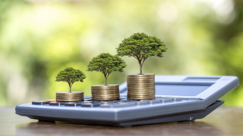 Drei kleine Bäume aus Münztürmchen erwachsend auf Taschenrechner platziert