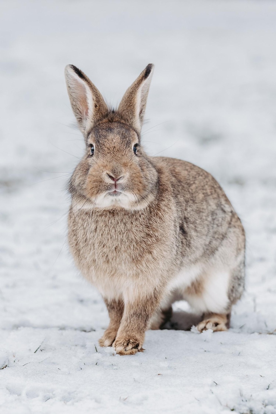 Kategorie Natur/Tierwelt 3. Platz: Laura Jagoschütz