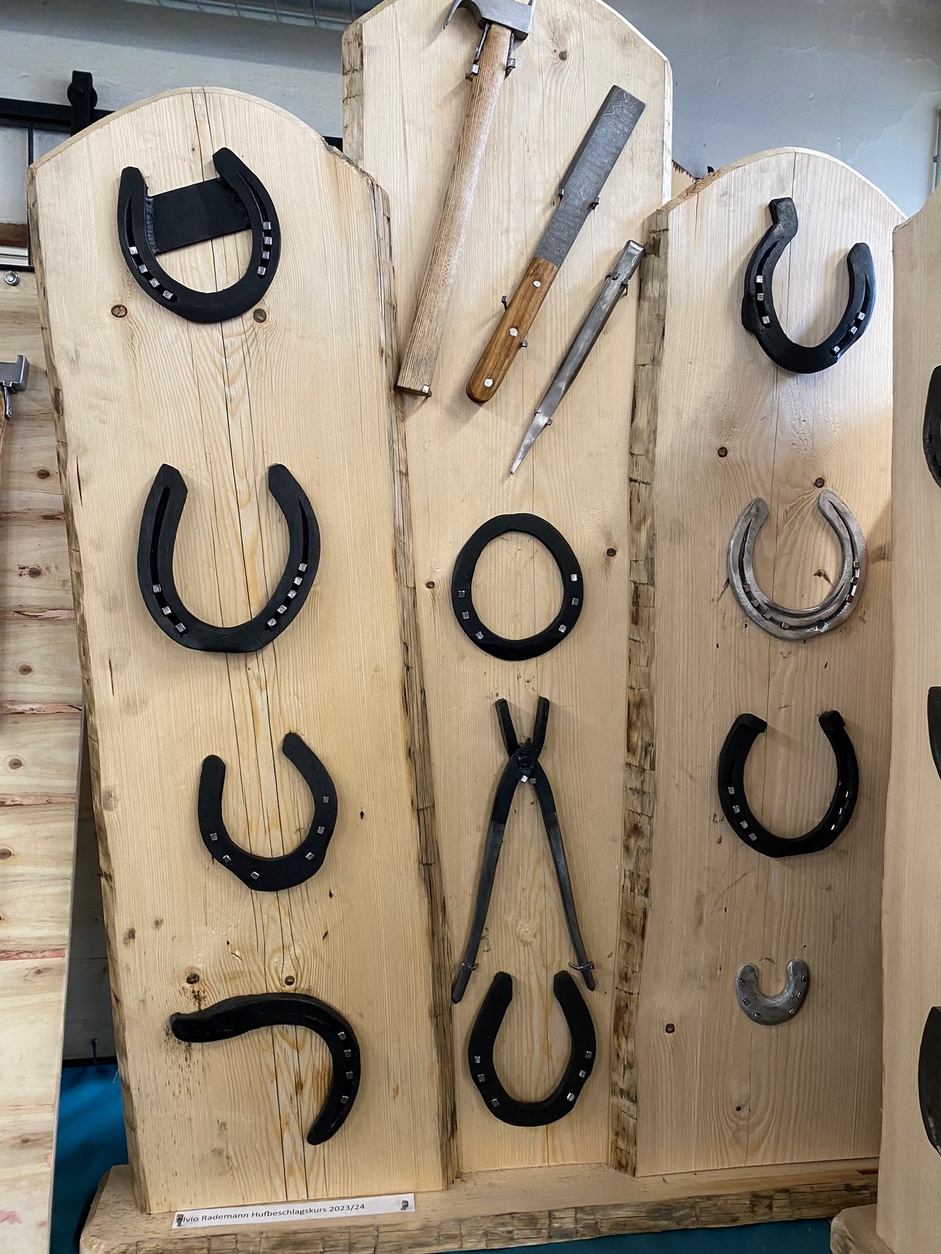 Hufbeschlagskurs 2023/2024