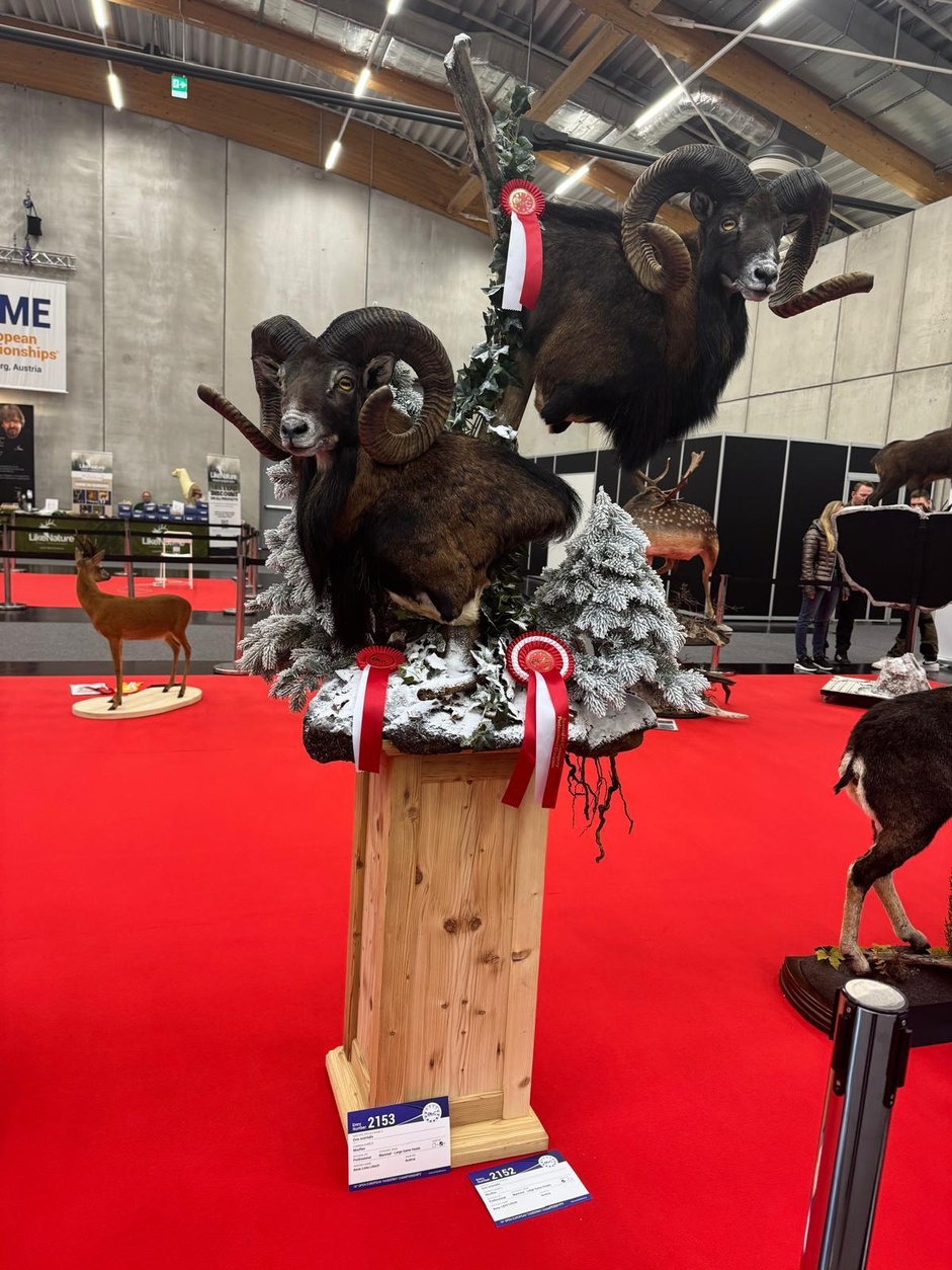 14. Europameisterschaft der Präparatoren