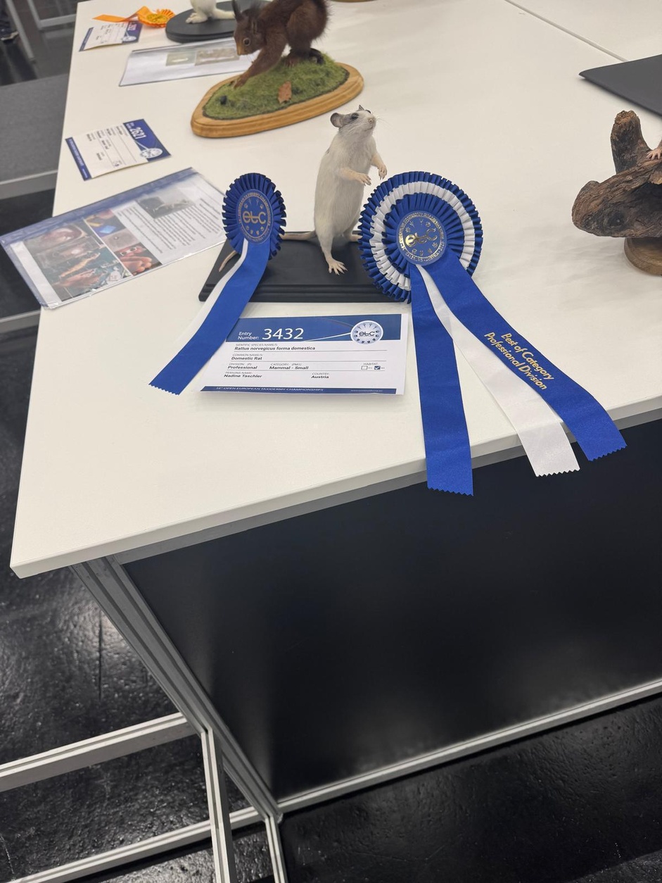 14. Europameisterschaft der Präparatoren 