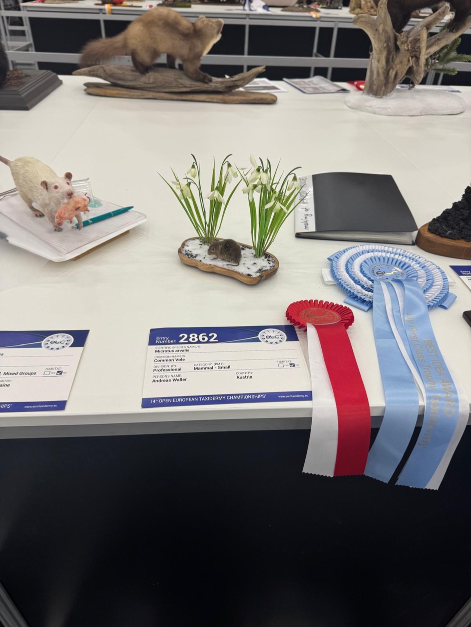 14. Europameisterschaft der Präparatoren