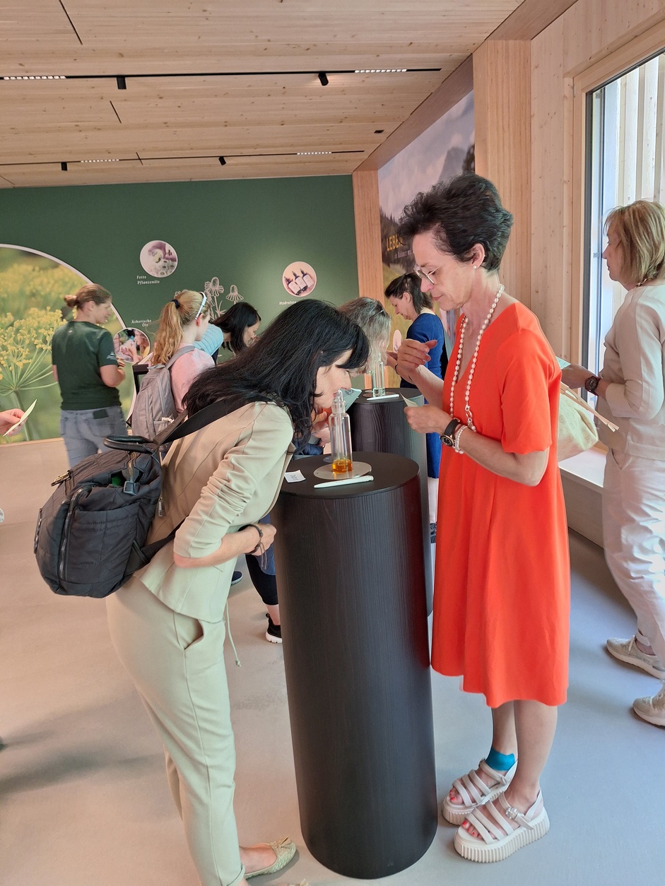 Betriebsbesichtigung Firma feeling, Satteins