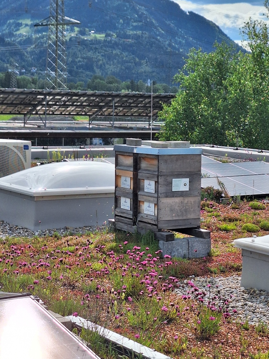 Betriebsbesichtigung Firma feeling, Satteins