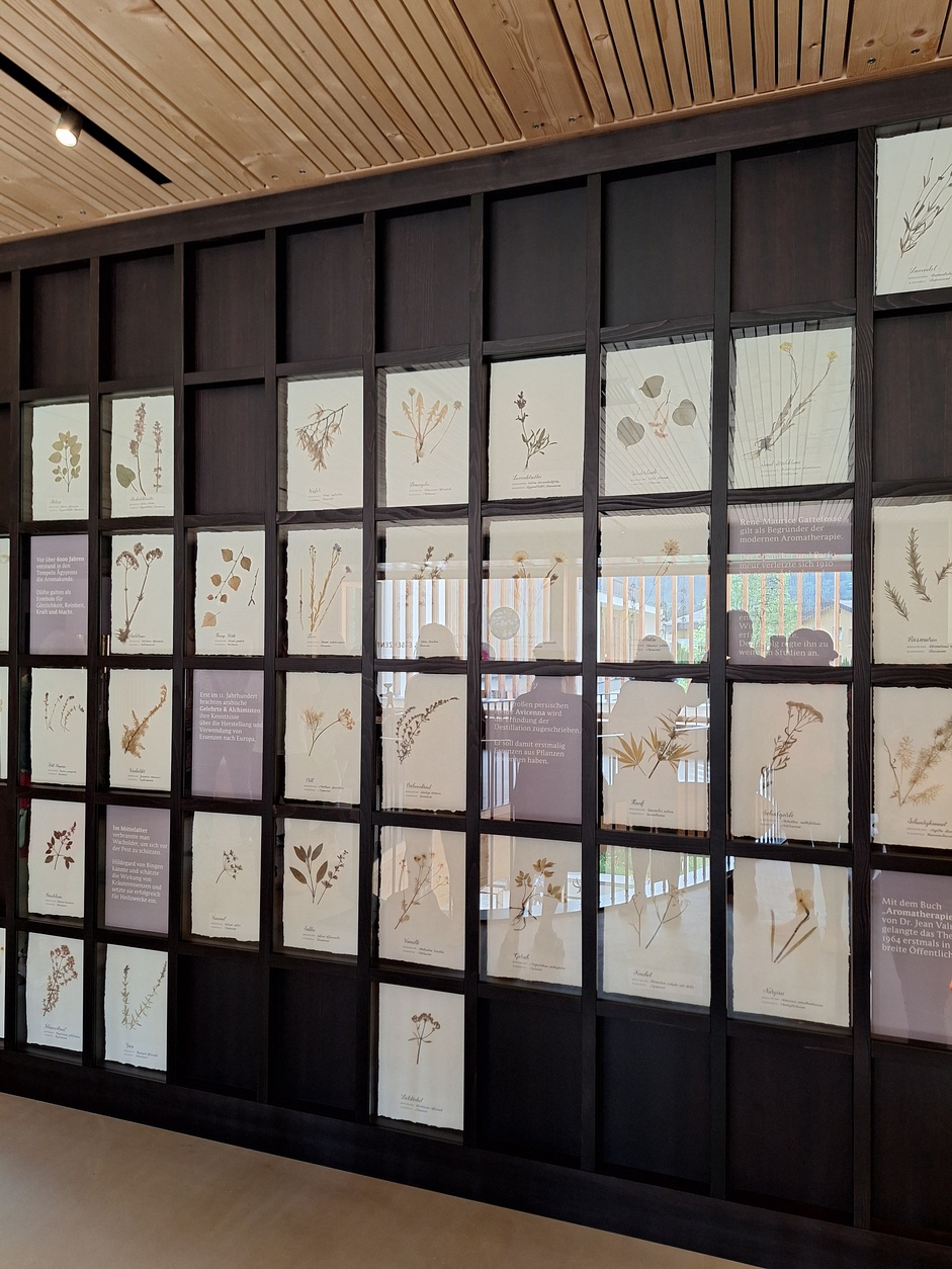 Betriebsbesichtigung Firma feeling, Satteins